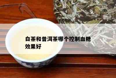 白茶和普洱茶哪个控制血糖效果好