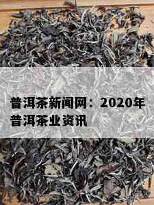 普洱茶新闻网：2020年普洱茶业资讯