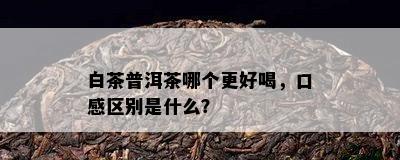 白茶普洱茶哪个更好喝，口感区别是什么？