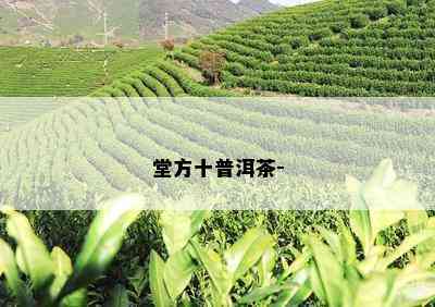 堂方十普洱茶-