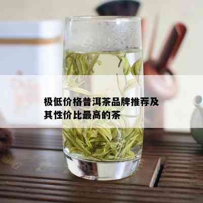 极低价格普洱茶品牌推荐及其性价比更高的茶