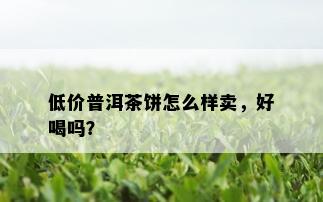 低价普洱茶饼怎么样卖，好喝吗？