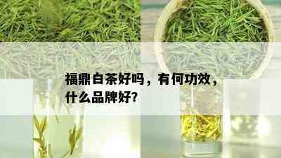 福鼎白茶好吗，有何功效，什么品牌好？