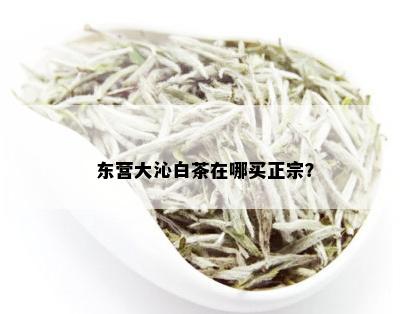 东营大沁白茶在哪买正宗？