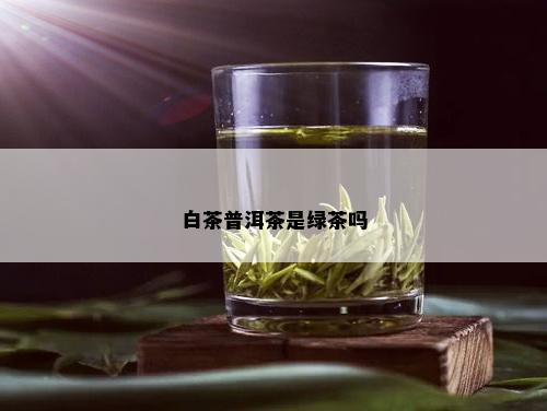 白茶普洱茶是绿茶吗