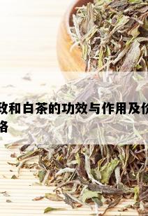 政和白茶的功效与作用及价格