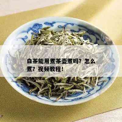 白茶能用煮茶壶煮吗？怎么煮？视频教程！