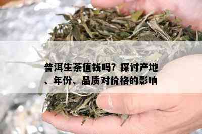 普洱生茶值钱吗？探讨产地、年份、品质对价格的影响