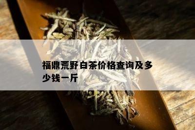 福鼎荒野白茶价格查询及多少钱一斤