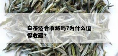 白茶适合收藏吗?为什么值得收藏?