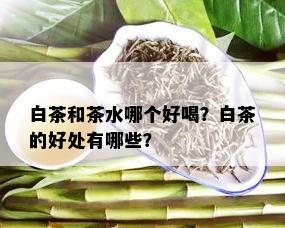 白茶和茶水哪个好喝？白茶的好处有哪些？