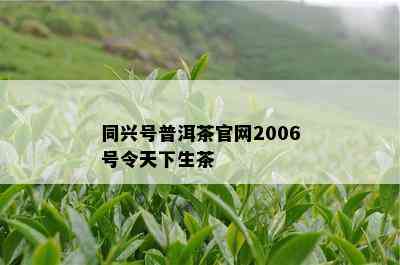 同兴号普洱茶官网2006号令天下生茶