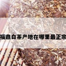 福鼎白茶产地在哪里最正宗