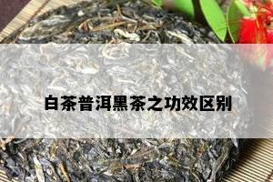 白茶普洱黑茶之功效区别