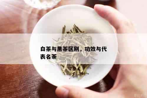 白茶与黑茶区别，功效与代表名茶