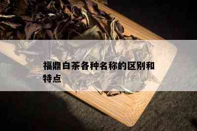 福鼎白茶各种名称的区别和特点