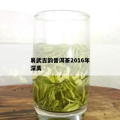 易武古韵普洱茶2016年深禹