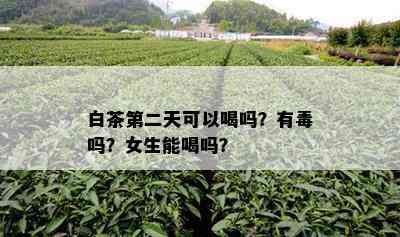 白茶第二天可以喝吗？有吗？女生能喝吗？