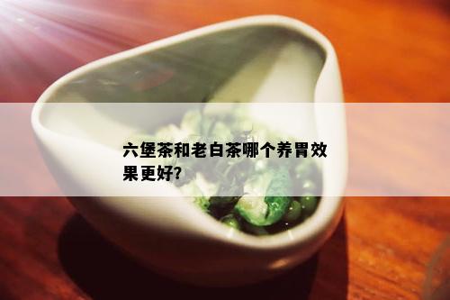 六堡茶和老白茶哪个养胃效果更好？