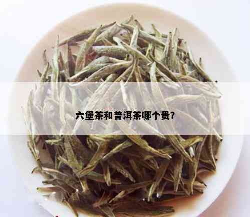 六堡茶和普洱茶哪个贵？