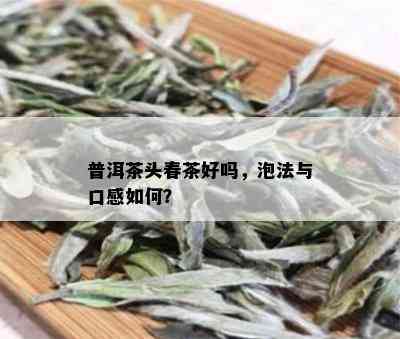 普洱茶头春茶好吗，泡法与口感如何？