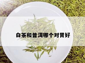 白茶和普洱哪个对胃好