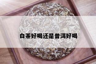 白茶好喝还是普洱好喝