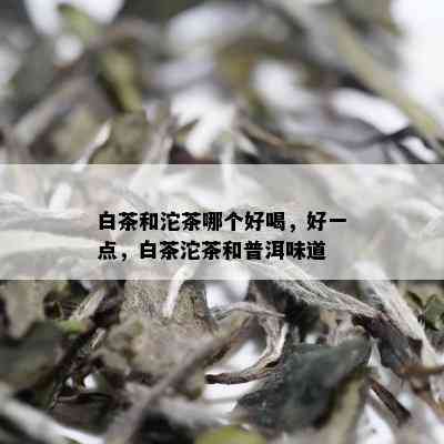 白茶和沱茶哪个好喝，好一点，白茶沱茶和普洱味道