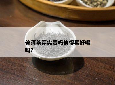 普洱茶芽尖贵吗值得买好喝吗?