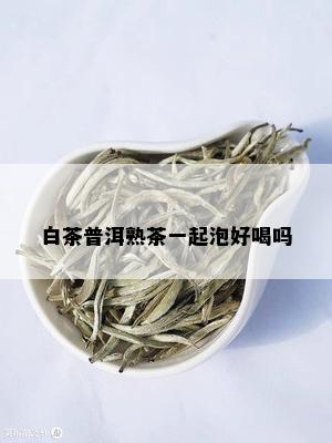 白茶普洱熟茶一起泡好喝吗