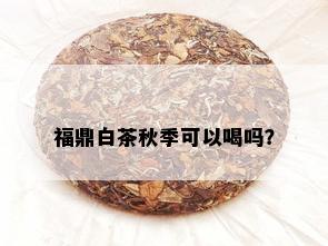 福鼎白茶秋季可以喝吗？