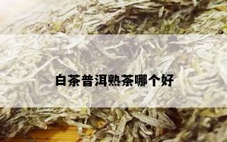 白茶普洱熟茶哪个好