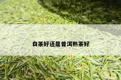 白茶好还是普洱熟茶好