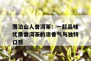 落泊山人普洱茶：一起品味优质普洱茶的浓香气与独特口感