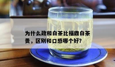 为什么政和白茶比福鼎白茶贵，区别和口感哪个好？