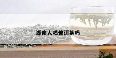 湖南人喝普洱茶吗