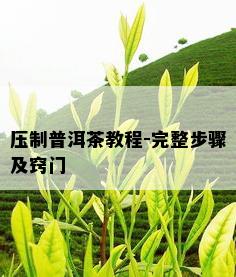 压制普洱茶教程-完整步骤及窍门