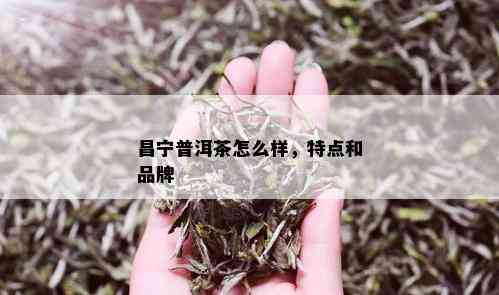 昌宁普洱茶怎么样，特点和品牌