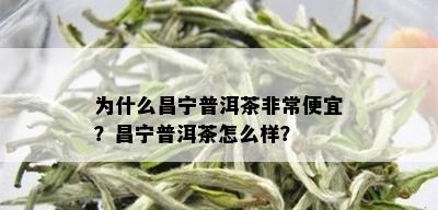 为什么昌宁普洱茶非常便宜？昌宁普洱茶怎么样？