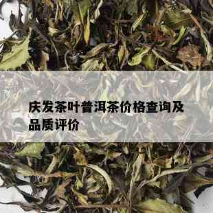 庆发茶叶普洱茶价格查询及品质评价