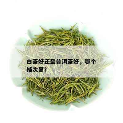 白茶好还是普洱茶好，哪个档次高？