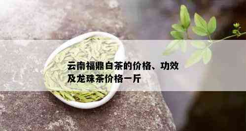 云南福鼎白茶的价格、功效及龙珠茶价格一斤