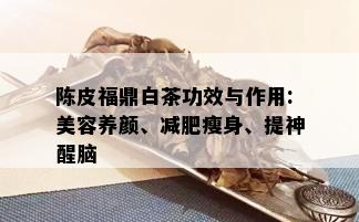 陈皮福鼎白茶功效与作用:美容养颜、减肥瘦身、提神醒脑