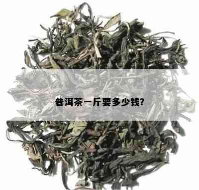 普洱茶一斤要多少钱？