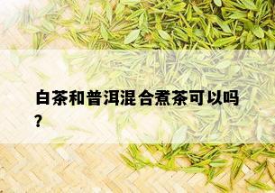 白茶和普洱混合煮茶可以吗？