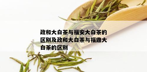 政和大白茶与福安大白茶的区别及政和大白茶与福鼎大白茶的区别