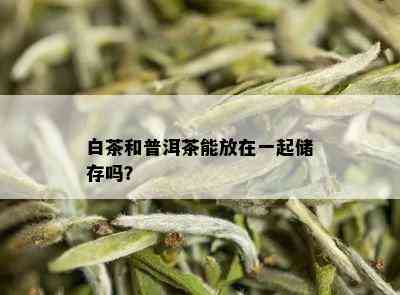 白茶和普洱茶能放在一起储存吗？