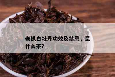 老枞白牡丹功效及禁忌，是什么茶？