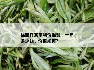 福鼎白茶市场价混乱，一斤多少钱，价值如何？