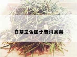 白茶是否属于普洱茶类